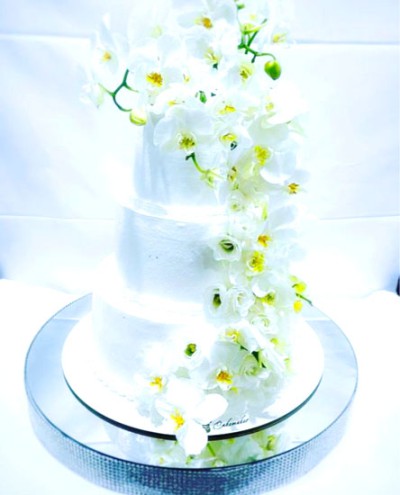 Mr. Cakemaker 