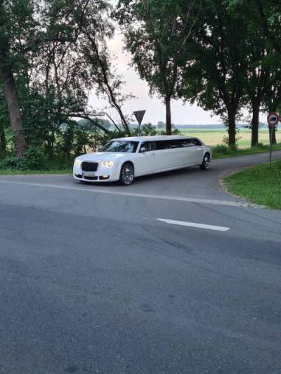 Deluxe Party Bus