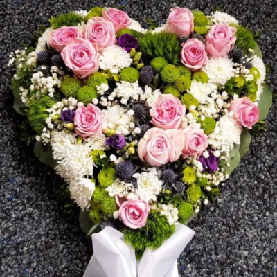 Blumen und Impressionen Thölke