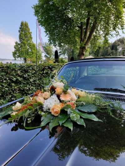 Wildeshauser Wedding Tour<br>Familie Donzelmann