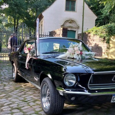 Wildeshauser Wedding Tour<br>Familie Donzelmann