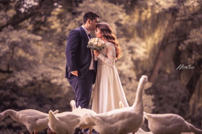 NOSTRA.  Event & Hochzeitsfotograf <br>Ali Ghofranifar 